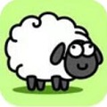 sheepsheep